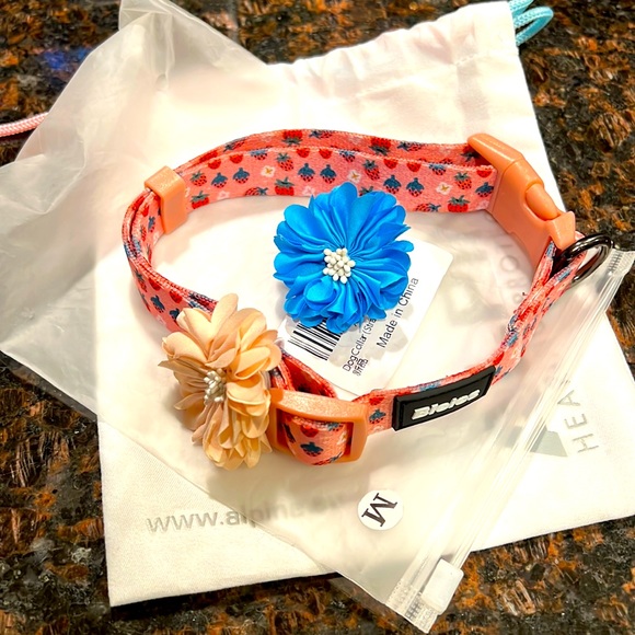Strawberry dog collar with attachable flowers - Picture 1 of 3